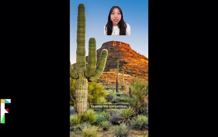 Mountain Dew will pay $10,000 for you to move to the Mountain Time Zone