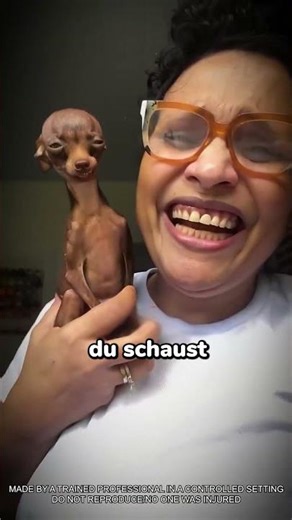 This dog changed my life 💀