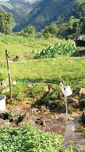 Jonalyn Compas Buyuccan #lantapanbukidnon #RA11131 #Bukidnon #Mindanao #joy #cle #Philippine #probinsiya #vegetables #gardening #trend #Criminology #MAGSASAKA #farming #garden #farmers #bukidlife #life #Rcrim2024 #bisdak #bisayareels #provincelife #voiceover #simple #pobre #pinas #tagabukidnon #RegisteredCriminologist | Ms. Joy RCrim