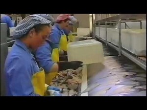 Processing fish