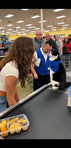 Hot Girl Loses It at Angry Cashier Cat! Crazy Grocery Store Fight #FunnyCat #AngryGirl #SupermarketChaos #ViralUSA #CashierCat #CatVsGirl #EpicFail #LOLAnimals #RealLifeComedy #Hilarious | Kitty Cuddle Club