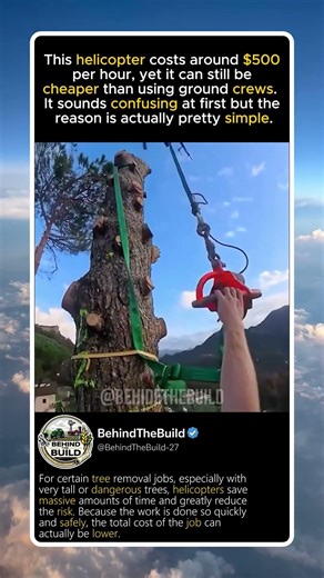 Helicopter Tree Removal Costs $500/Hour… But It’s Cheaper 🤯 #shorts