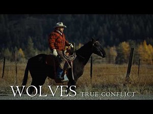 Ranchers, Wildlife, & Washington’s Crisis | WOLVES: True Conflict Episode 1
