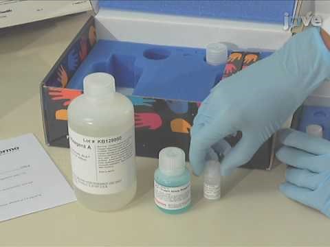 Microvolume Protein Concentration Determination Using the NanoDrop 2000c Spectrophotometer