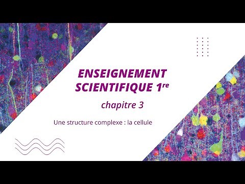 A complex structure: the cell (1st year science education)