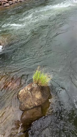 Exploring Gold Mining Techniques for Treasure Hunters