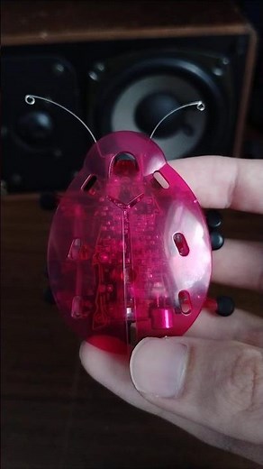 Hexbug Original Beetle Echo v2 Overview