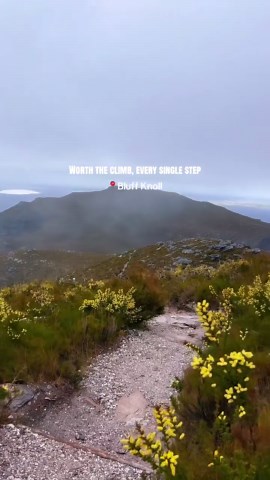 WA's most iconic hike.⛰️ Bluff Knoll isn't just the highest peak in the Stirling Range — it's one of the most rewarding hikes in all of Western Australia. 🌿✨ From sweeping mountain views to clouds drifting through the valleys below, every step to the summit feels worth it. And if you're lucky, you might even witness one of WA's rarest sights... snowfall. ❄️🤯 Would you hike to the top for this view? 🎥 Video Credit: @rai.foodie — All rights belong to the original creator. #welcometoperth #Bluff
