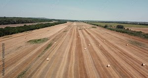 Aerial drone shot - a field with tractors and hay bales in a rural area on a sunny day - drone flies backward. Aerial round hay bales tracking shot over a harvested field.
