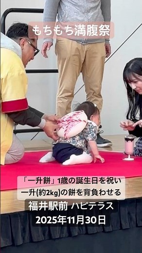 『幸せもちもち 満腹祭2025/一升餅』1歳の誕生日を祝い、これからの健やかな成長を祈る伝統行事。背負わせる餅は、一升（約1.8kg）のもち米を餅にしたもので、餅の重さはおよそ2kgになる。