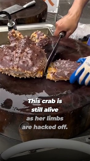 Crabs 👏 Feel 👏 Pain👏 Imagine how EXCRUCIATING this must've been for this crab as his limbs are hacked off 💔 Just because their pain looks different from ours, doesn't make it any less valid! | PETA (People for the Ethical Treatment of Animals)