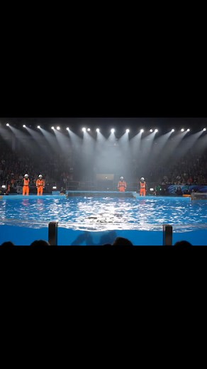 #orca #jessica #Radcliff | Luna Ava