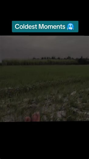 #fyp #cold #viral #coldestmoments