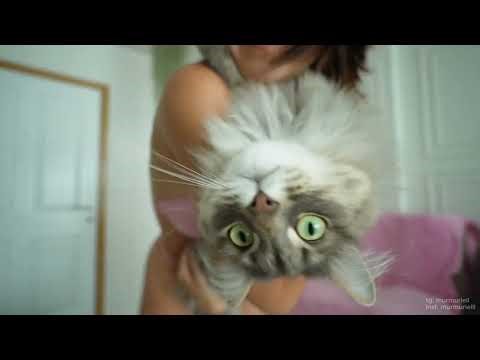 Try on haul bikini (cat guest appearance)