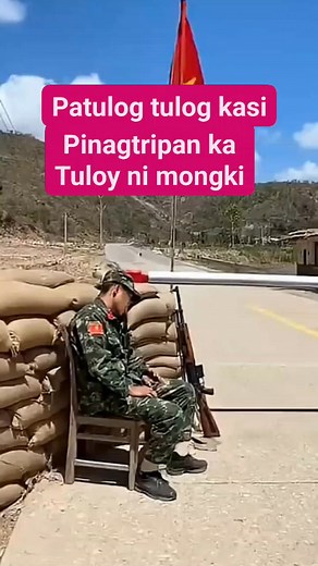 Patulog tulog kasi Ayan pinagtripan ka tuloy ng unggoy #followersreelsfypシ゚viralシfypシ゚viralシalシ #hilightseveryonefollowers #trendingreelsvideo #usarmy #comedyreels #funnyreels #AI | Jordan Pel-is Pio