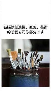 方向音痴な人は右脳が発達していて芸術的才能がある #脳科学 #mindblown #quickfacts
