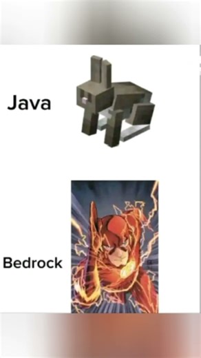 Bedrock vs Java edition #minecraftshort