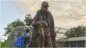 Florida snake hunter captures 17-foot long python after deadly fight. Unreal, says Internet