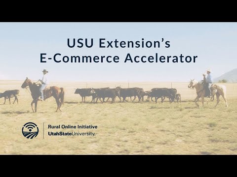 Expand Your Business Online with E-Commerce Accelerator