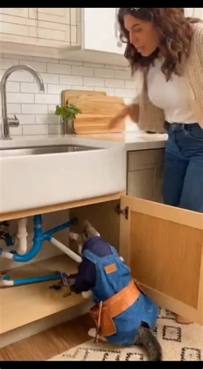 #milan #napoli #catwalk #catlover #catwalkchallenge