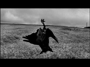 Josef Koudelka - Gypsies and Exiles - Photography