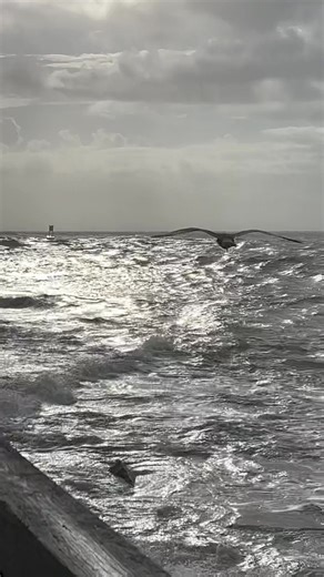 27K views · 806 reactions | At the Ocean City Inlet this morning. Some stormy weather today. Check out our WebCams: ￼https://www.oceancity.com/webcams/ | OceanCity.com | Facebook