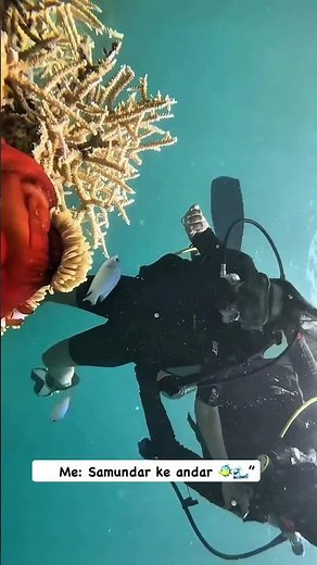 Scuba Diving Was Actually Magical 🌊🤿