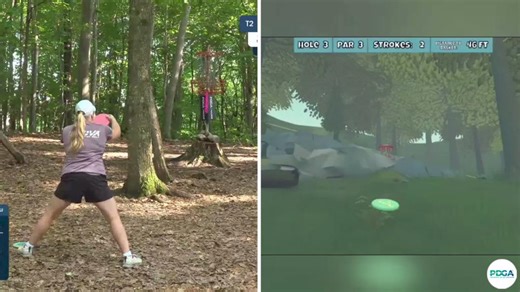17K views · 166 reactions | Disc Golf Valley putt IRL : thediscgolfmann on ig | Disc Golf Pro Tour | Facebook