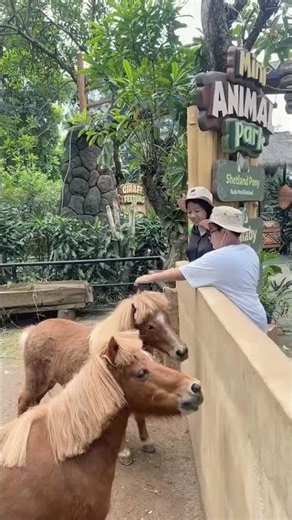 Welcome to Royal Safari Garden, a thematic resort at one with nature.