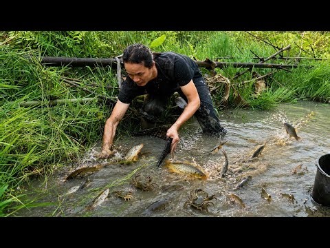 Catching stream fish to cook, building a pen for newborn piglets.