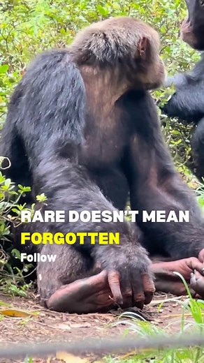 65K views · 3.8K reactions | This is Papa. A calm, curious, and...