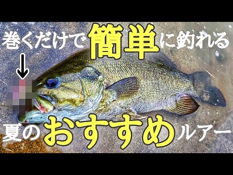 これからの時期、投げて巻くだけで簡単に釣れるルアー教えます【スモールマウスバス】【川スモール】【初心者】【オススメルアー】【7月】【8月】