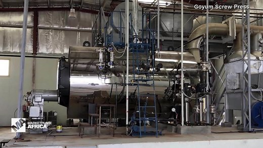 The business of edible oils in Africa