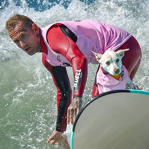 17 reactions · 14 comments | I Am Ryan and My Dog Saved My Life  | Animals Lovers | Facebook