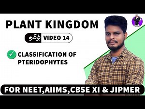 Classification of pteridophytes | Plant Kingdom in Tamil (14)