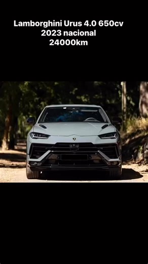 Gonçalo Alves on Reels