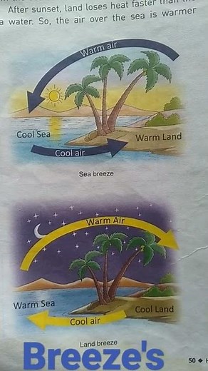 Land Breeze // Sea Breeze // Science