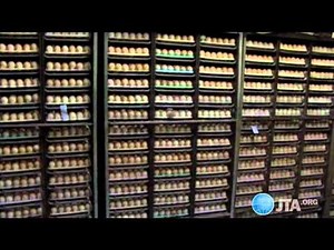 Empire kosher: The life of a chicken (JTA)