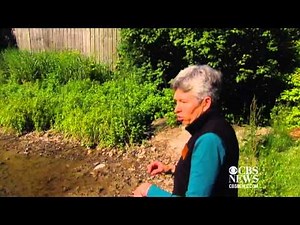 Listening to the sounds of frogs and toads