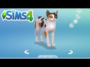 How To Get A Cat - The Sims 4