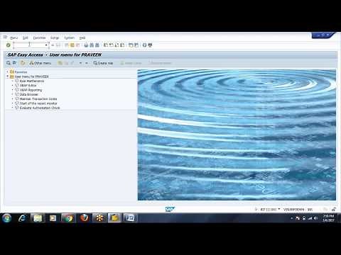 SAP BASIS Tcode SU10
