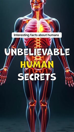 Interesting facts about humans: #creatorsearchinsights