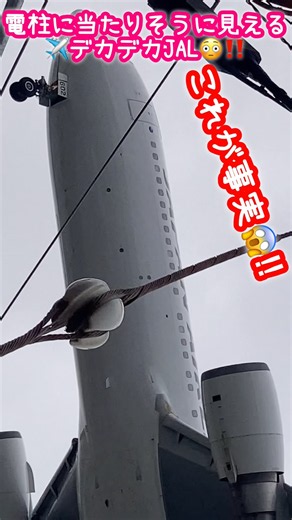 🟢でかでか✈️JAL😱‼️電柱に当たりそうに見える😳‼️着陸寸前‼️音もお楽しみください♪🥰💓#飛行機 #航空 #japanairlines #jal #旅客機 #豊中市 #shorts