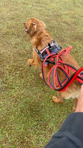 33K views · 394 reactions | This is what I like to call a little bit of Ninjanuity 奈 | The Cajun Ninja | Facebook