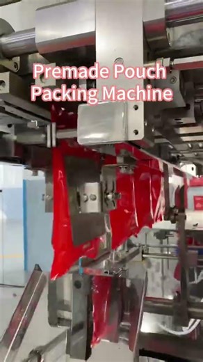 Premade Pouch Packing Machine | Automatic Pouch Packaging Solution