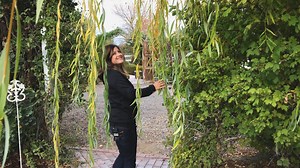 54K views · 1.6K reactions | Garden Tour Part 4!  | Garden Answer | Facebook