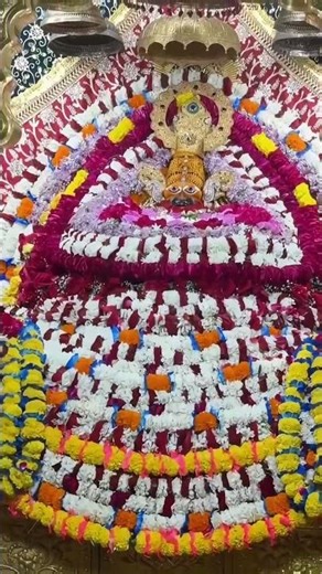 तू ना संभाले तो हमें कौन संभाले #khatushyam #shyam #bhajan #bhakti #bhajanshorts #harekasahara #जय