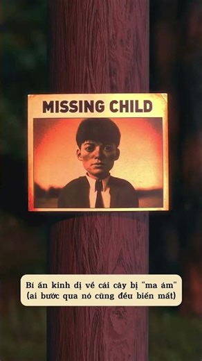 The mystery of the "haunted" tree that everyone is scared of 😨😨😨 Credit: somewhere on YouTube #sh...