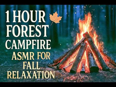 ASMR Campfire Ambience Relaxing Crackling Fire Sounds for Autumn Nights (1 Hour)