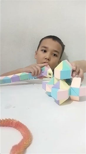 Robot 🤖 chani yasash Rubikʼs Snake 60